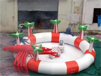 Kid Inflatable Pool Toys